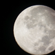Illustration for article titled 21 Super Photos Of The Super Moon